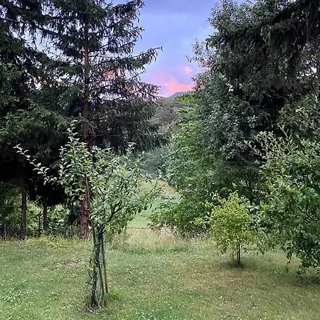 Apartmaji Velikonja アパート *