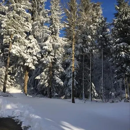 Apartmaji Velikonja Appartamento Ajdovščina