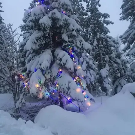 Apartmaji Velikonja * Ajdovščina