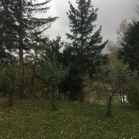 Apartmaji Velikonja *