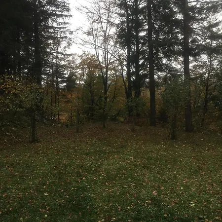 Apartmaji Velikonja Appartamento *