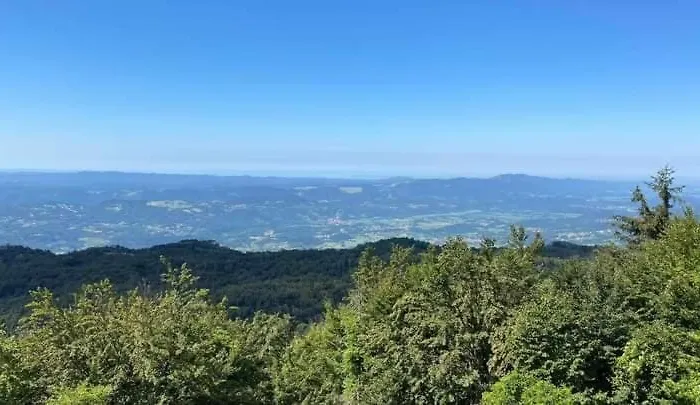 Apartmaji Velikonja *