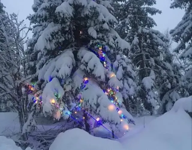 Apartmaji Velikonja * Ajdovscina