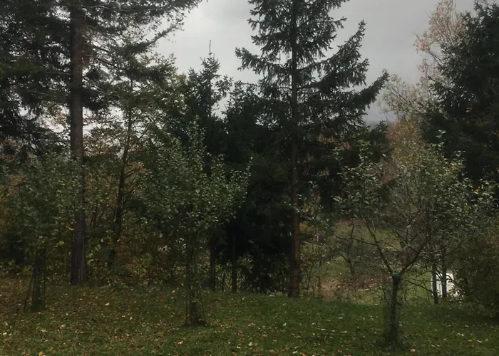 Apartmaji Velikonja *