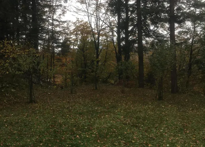 Apartmaji Velikonja Apartment *