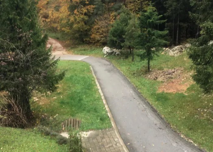 Apartmaji Velikonja *